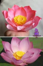 Lotus flowers represent long life, health, honor and good luck; The Violet Cake Shop Flower Cake Decorations Lotus Cake Rose Cake Decorating