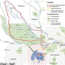 Image result for Mesanthemum glabrum