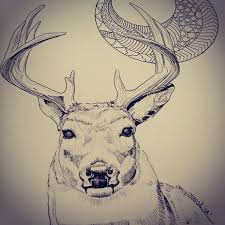 Aaaand A Close Up For Good Measure Art Artist Draw Drawing Deer Animal Ink Inked Sketch Sketching Illustration Wip Antler Graphic Design Stacys Art Drawings Student Art