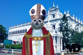 Esti o pisica popa, mereu cu credinta in Dumnezeu si toti Sfintii!