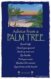  Each Postcard Says Advice From A Palm Tree Stand Tall Soak Up Some Sun Weather Life S Storms Spend Time At The Be Palm Tree Quotes Tree Quotes Hawaiian Quotes