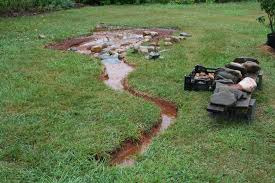 4.1 out of 5 stars 91. Rain Gardens Good For You Biodiversity Groundwater And Much More Thomas Jefferson S Monticello