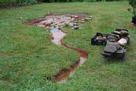 Switchgrass (panicum virgatum) is adaptable enough to grow in normal soil or the moist soil of a rain garden. Rain Gardens Good For You Biodiversity Groundwater And Much More Thomas Jefferson S Monticello