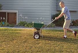 So how do you help it recover and prepare it for the colder weather ahead? Care For Your Lawn After Overseeding Valley Green Companies