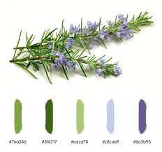 Nice items, beautiful colors.more than lovely colores and quality. Food Color Palettes Food Colors Palette Rosemary Flower Color Palate