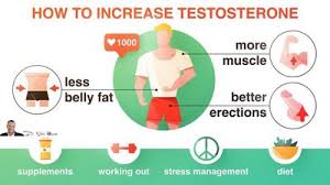 Some of you may have seen watermelon in my article on foods that actually lower testosterone, but hear me out. 4 Ways To Raise Testosterone Naturally No Drugs