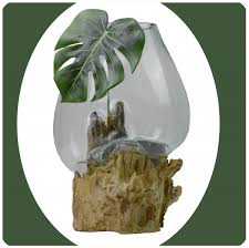 Check spelling or type a new query. Wurzelholz Glas Vase Teakholz Glasvase Wurzelvase Deko Geschenk 1 Simandra Shop
