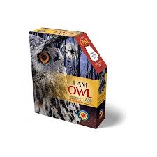09 reading writing & arithmetic! Madd Capp Gamesmadd Capp Puzzle I Am Owl Dailymail