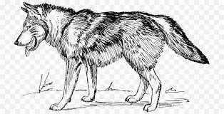 Howling wolf drawing black and white | how to draw wolf howling at the moon drawing night scenery. Wolf Drawing