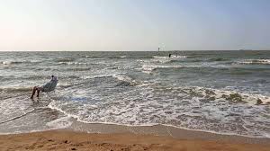 Find unique places to stay with local hosts in 191 countries. 10 Things To Do On Knokke Beach Belgium Paulina On The Road