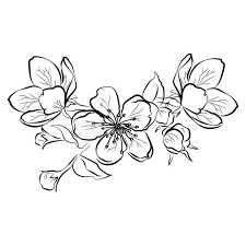 Black and white cherry blossom tattoo. Blooming Cherry Sakura Branch With Flower Buds Black And White Drawing Of A Blossoming Tree In Spring Logo With Stock Vector Illustration Of Bloom Logotype 119793087