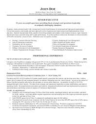CEO (Chief Executive Officer) Resume