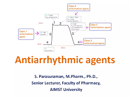 Image result for Antiarrhythmic