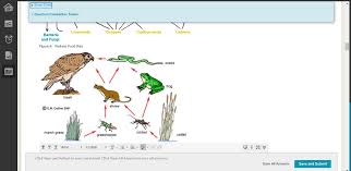 Use models to describe that energy in animals' food (used for body repair, growth, and motion and to maintain body warmth) was once energy from the sun. Show Timer Question Completion Status Which Of The Chegg Com