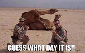 The hump day camel was a camel that looks similar to cameel habib habab and mistook him by some fans. Hump Day Yeah Imgur