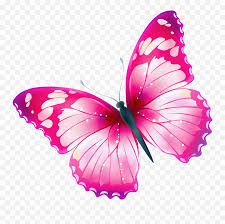 Maybe you would like to learn more about one of these? Butterfly Png Transparent Photo Play Transparent Background Butterfly Clipart Png Butterfly Transparent Free Transparent Png Images Pngaaa Com