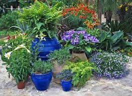 Maybe you would like to learn more about one of these? Container Gardening For Beginners Home Garden And Homestead