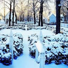 The Elements Of Great Landscape Design Landscape Design Winter Garden Landscape Projects