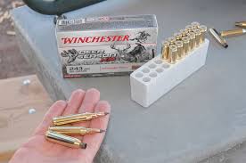 There is a lot to consider when going deer hunting, the most. Tv Celebs Talk Best Rifle Cartridge Choices For Deer