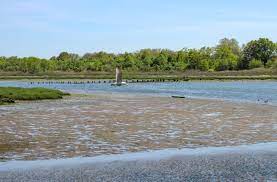 Wandering Through Brooklyn S Natural Past In Marine Park Brownstoner