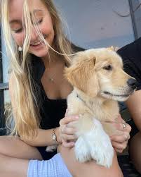 An oh so lovely moment from the one and only Pam Chu's class at  @revive_dance_convention LA 🫶🏼 feeling extremely grateful to be a part of  such an incredible family and community 💛🌻