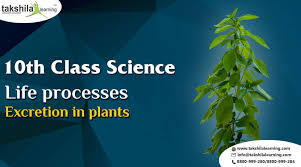 Maybe you would like to learn more about one of these? Life Processes Excretion In Plants Class 10 Notes For Cbse 10th Science
