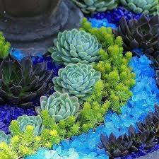 Pin By Neha On Plantzy Succulents Succulent Garden Design Garden Whimsy
