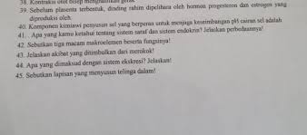 We did not find results for: Tolong Bantu Tolong Bantu Dari 41 45 Brainly Co Id