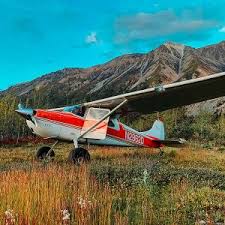 Image result for Standard C170