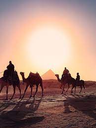 Camel riding gone wrong for these two as all the weight shifts to the front and the camel can't get up! Trip Ideas And Bespoke Tours