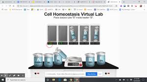 Solution move from a region of higher concentration to lower concentration, this. Cell Homeostasis Virtual Lab Youtube