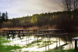 The latest victoria breaking news, comment and analysis from the age covering melbourne and around the state. Reader Photo Heavy Rains Leave Picnic Tables Swimming In Saanich Goldstream News Gazette