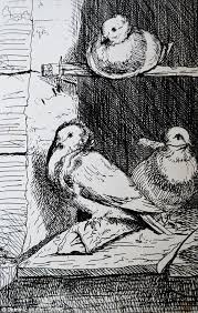 Personal Etchings Queen Victoria Didn T Want You To See Victoria Art Queen Victoria Queen Victoria Family