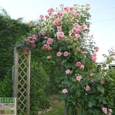 Epingle Sur Le Jardin Se Partage