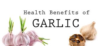 Image result for garlic benefits
