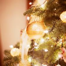Get inspired by these or even mimic one completely. Beautiful Lights For The Christmas Eve Godfather Style
