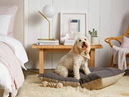 Dog beds black friday 2018. New Pet Startups Making Better Food Toys Treats And Beds
