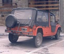 Image result for Brun Guaranja 2011 Citroen