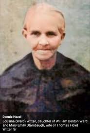 Lucina Ward Witten (1849-1922)