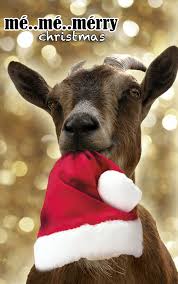 Grappige Kerstkaart Met Geit Grappige Kerstkaarten Kerst Foto Kaarten Kerst Kaarten