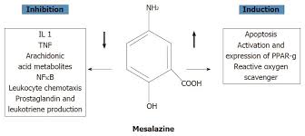 Mesalazine Preparations For The Treatment Of Ulcerative