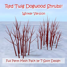 Check spelling or type a new query. Second Life Marketplace T Spot Mesh Red Twig Dogwood Shrubs Winter Full Perm Li 1 0