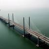 Memancing di bawah jambatan kedua pulau pinang. 1