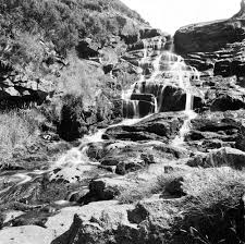 Image result for Delta 100