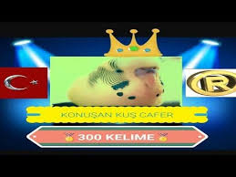 Cok Net Konusan Muhabbet Kusu Youtube Muhabbet Kuslari Youtube Kus