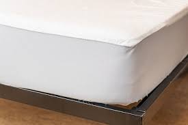 We did not find results for: The Best Waterproof Mattress Protectors And Pads Reviews By Wirecutter