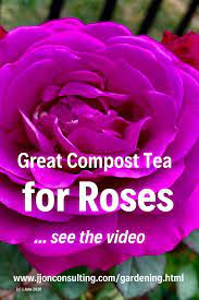 Roses And Compost Tea Compost Tea Compost Tea Recipe Compost