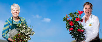 Hilfreiche tipps für ihre idee vom traumgarten: Alles Fur Den Garten Moelders Webseite