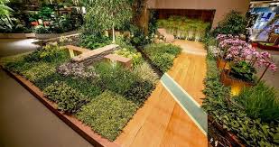 Irish Garden Designer Wins Gold At Asian Garden Festival Irish Garden Asian Garden Garden Design
