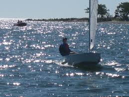 Image result for Green 2021 Fleet